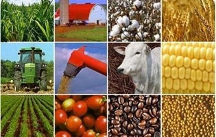 COMESA Business Council: Agro-industry Workgroup Meeting (1)