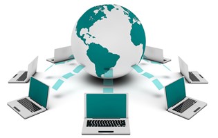 Application for Import Permit at the NPPO online as from 1st October