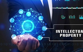 Adoption of the Industrial Property Bill by the Parliament on the 30th of July 2019