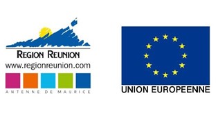 Situation sanitaire de La Réunion - Bilan du Covid-19