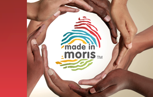 Amended Margins of Preference for Goods in Public Contracts for SMEs - Made in Moris