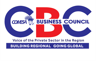 SME Digital Financial Inclusion Plan: Request for Proposals