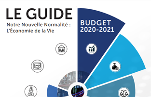 Budget 2020-2021 : Solidarity Levy : Plafonnement de 25%